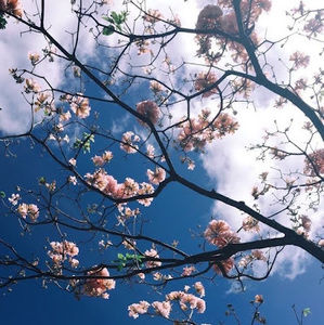 Meet your Posher, Karina